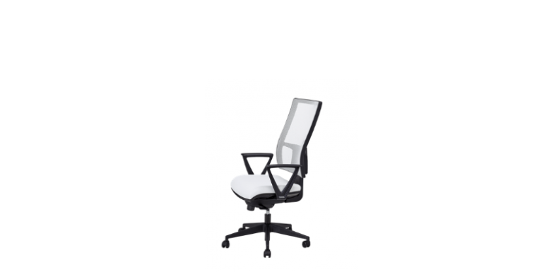 Siège ergonomique pas cher professionnel, Munich - Mobilier de bureau  professionnel