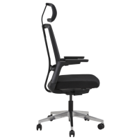 Siege de bureau ergonomique papille